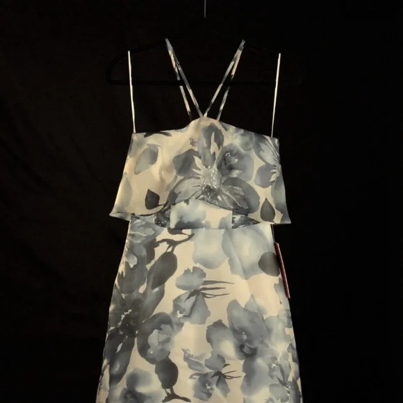 Carmen Marc Valvo Organza Ball Gown